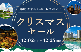 クリスマスセール