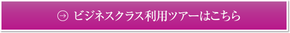 ビジネスクラス利用ツアーはこちら